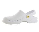 Pracovní obuv Crocs